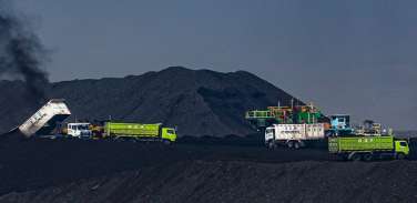 Thumb #1
