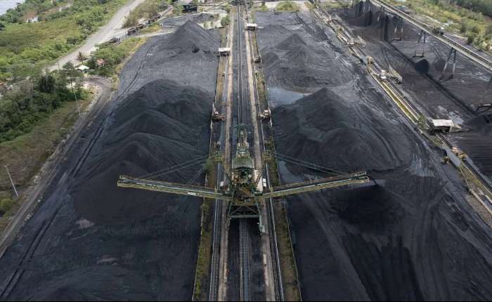 Thumb #5