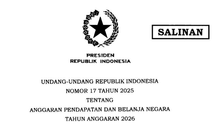2025年第17号关于2026年国家收支预算的法令的截图。