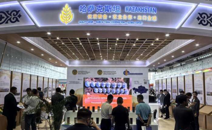 哈萨克斯坦优质粮油产品在长沙举行的第八届中国粮食交易大会上展出。付敬懿 摄