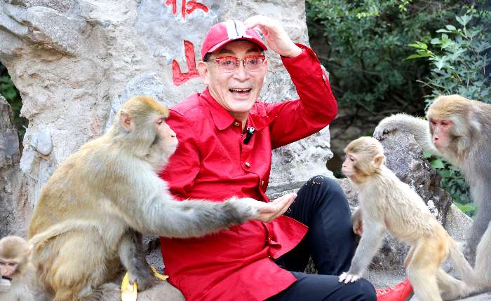 7月18日，六小龄童（章金莱）到访河南太行山猕猴国家级自然保护区济源段，与猕猴亲密互动，再现"齐天大圣"风采。图为六小龄童示范表演。中新社发王中举摄
