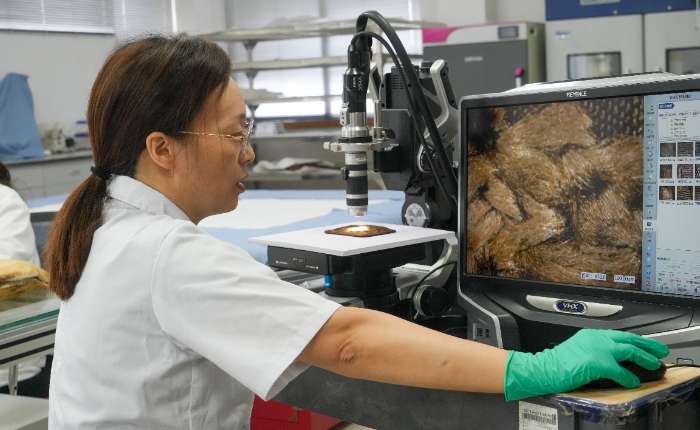 8月15日，湖北荆州文物保护中心文物修复师借助科学仪器观察纺织品文物内部结构。吴淘淘 摄