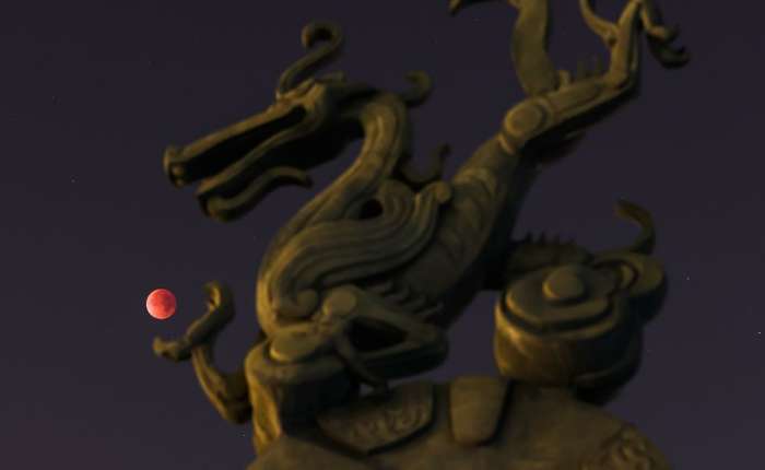 Banner #4