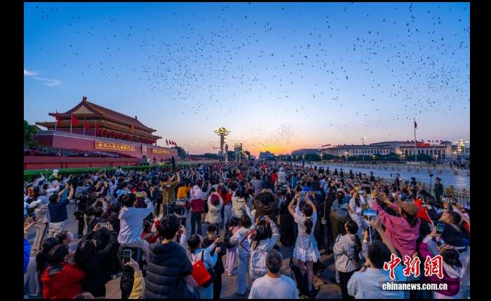 图为上万羽和平鸽在天安门上空翱翔。