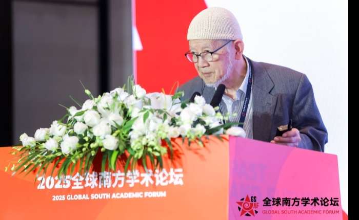 旅日华侨中日交流促进会秘书长林伯耀 全球南方学术论坛