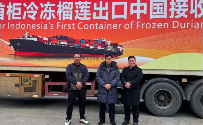 印尼首柜冷冻榴莲