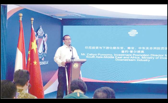 投资部南亚、中东和非洲投资促进司司长卡约•普尔诺莫（Cahyo Purnomo）致辞的情景。